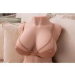 Dania Torso with Thrusting 19.5 cm